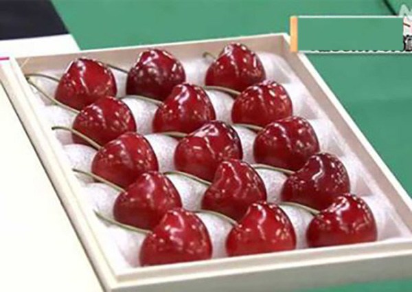 5 loại quả “đắt như vàng” vẫn hot ở VN: Mọc hoang ở nước ngoài về VN bán 4 triệu/kg - 4