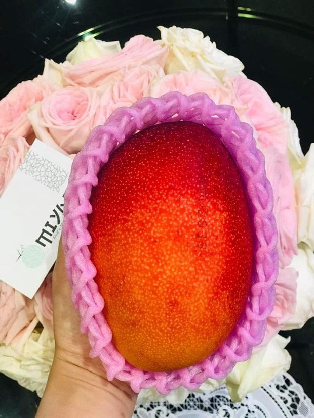 5 loại quả “đắt như vàng” vẫn hot ở VN: Mọc hoang ở nước ngoài về VN bán 4 triệu/kg - 10