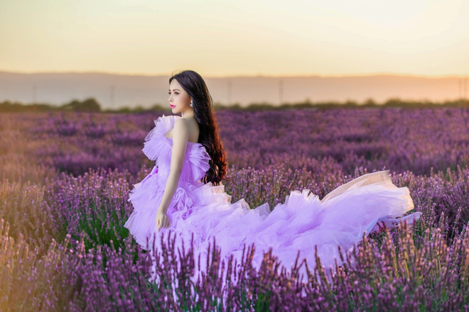 Hoa hậu Hạ My đẹp như tiên nữ giữa cánh đồng hoa Lavender