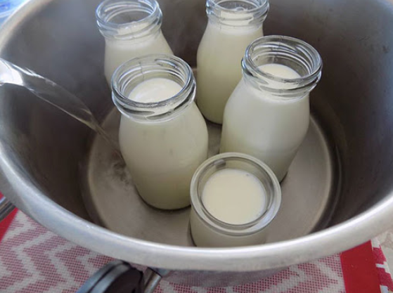 Cách làm yaourt bằng sữa tươi, sữa đặc mịn ngon tại nhà