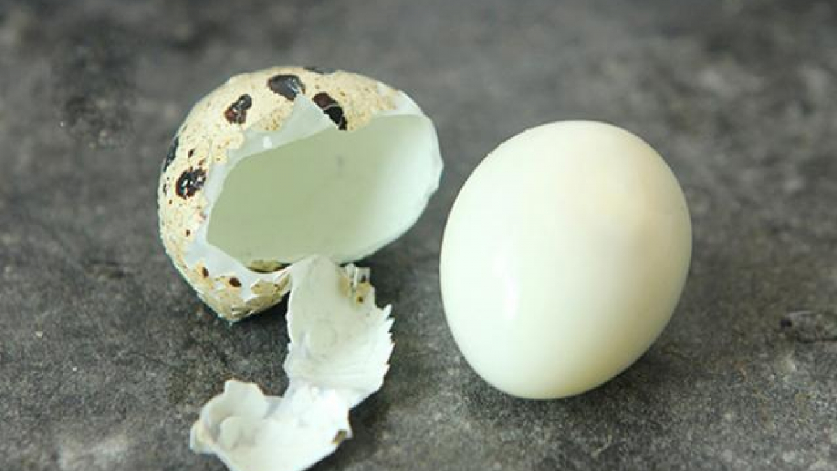 Ảnh Kỳ lạ trứng gà trứng vịt to bằng trứng cút