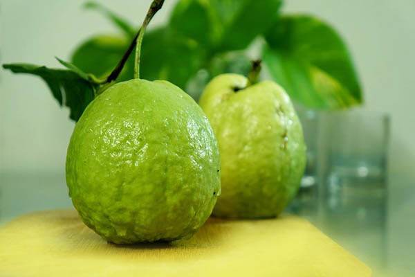 Tác dụng của quả ổi? Nên ăn ổi vào lúc nào? - 1