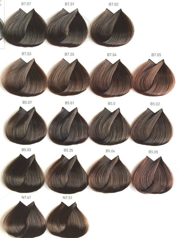 Bảng Màu Tóc đầy đủ nhất  Top 20 màu tóc hot trend
