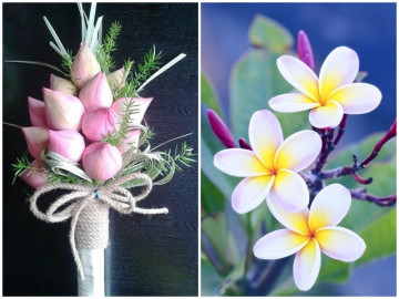 10 loài hoa đẹp nhất thế giới, số 8 ở Việt Nam mọc đầy, vài chục nghìn 1 bó to