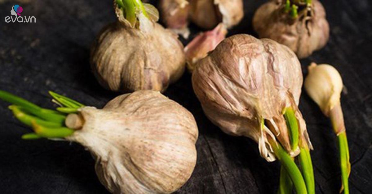 Chuyên gia chỉ rõ loại rau củ mọc mầm hại như thuốc độc và những loại ...