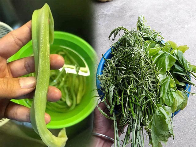 6 loại rau rừng ở Việt Nam giá đắt vẫn được lùng tìm, có tiền chưa chắc đã mua được