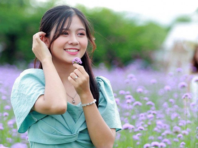 Có một cánh đồng hoa oải hương thảo đẹp ngất ngây ở Hà Nội