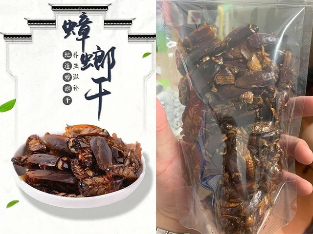Trang ăn vặt Đài Loan rao bán snack... gián sấy khô: Giòn tan, ngon miệng, giàu dinh dưỡng!