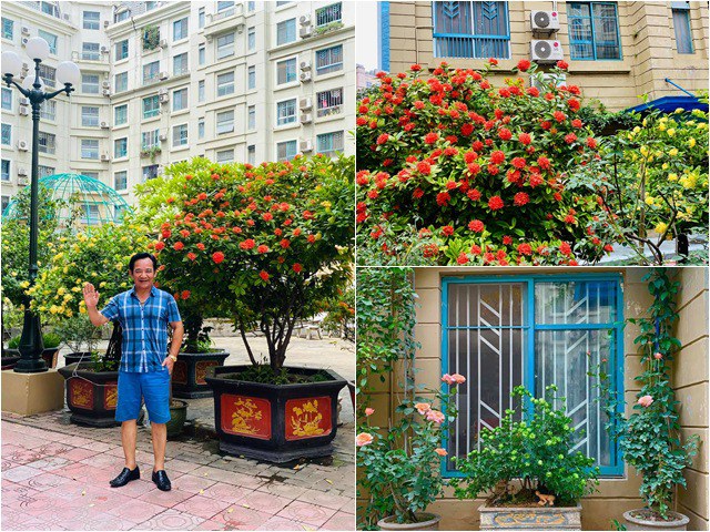 Sao Việt 24h: Vườn cây cảnh tuyệt đẹp trước cửa căn nhà 7 tỷ của nghệ sĩ Quang Tèo