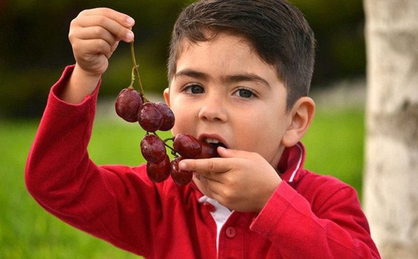 7 loại hoa quả người lớn ăn không sao, trẻ nhỏ ăn nhiều sớm muộn cũng hại người - 7