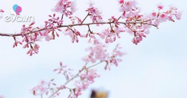 Người thường xuyên làm 3 điều này đa phần là đạo đức giả, tốt nhất nên tránh xa - Vimarsana News
