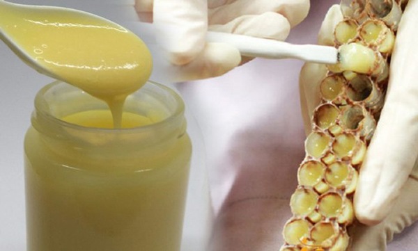 Công dụng và cách sử dụng sữa ong chúa để cải thiện sức khỏe và nhan sắc - 5