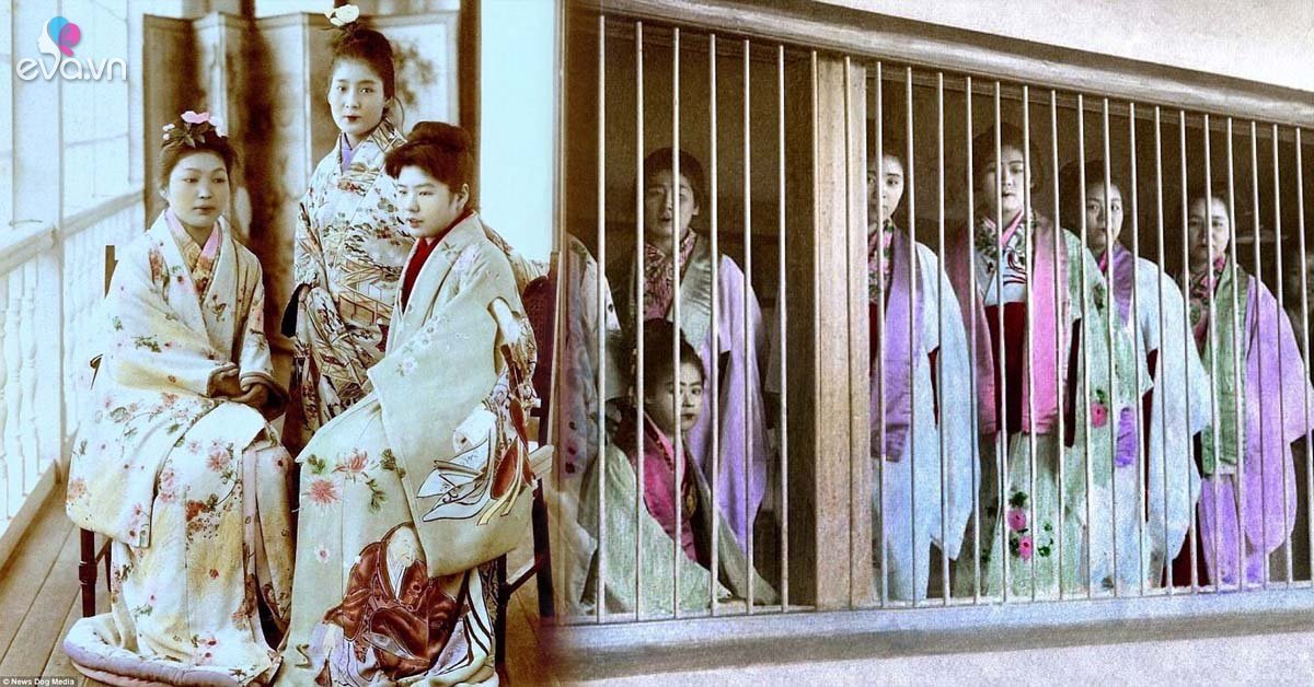 Kỹ nữ được trưng bày trong lồng ở Nhật 100 năm trước và câu chuyện làm đẹp để thoát thân - Vimarsana News