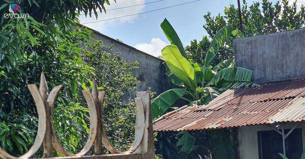Vụ 2 mẹ con cô giáo tử vong, nghi bị cắt cổ: Nạn nhân vừa thi xong tốt nghiệp THPT - Vimarsana News