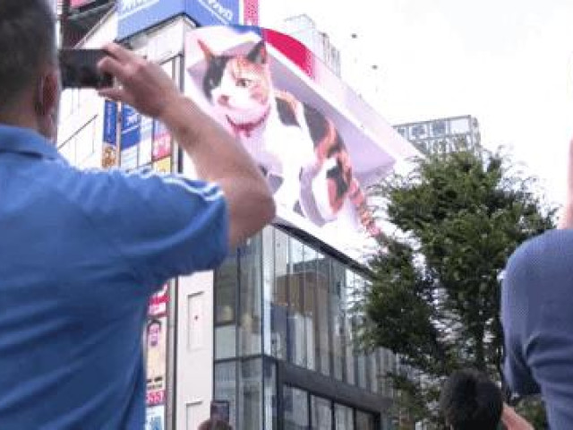 Mèo 3D khổng lồ cử động như thật gây sốt tại ga Tokyo