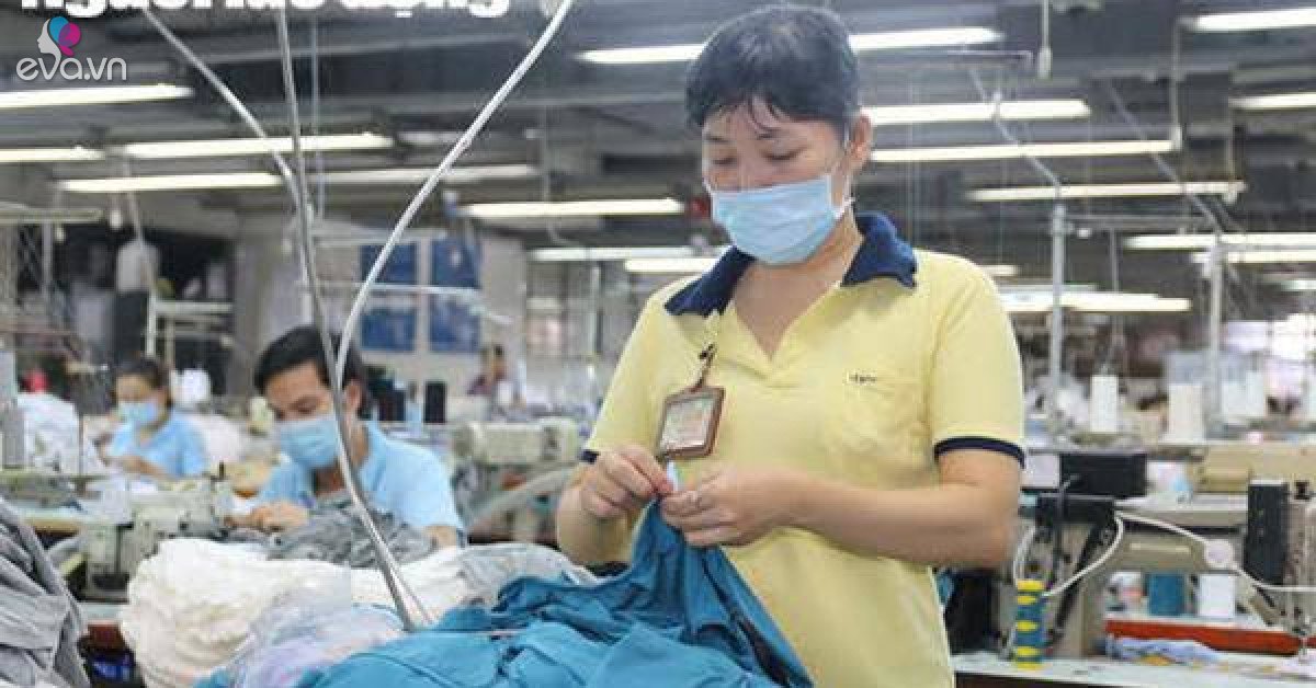 Tin nóng: 4 trường hợp người lao động được trả lương ngừng việc vì Covid-19 - Vimarsana News