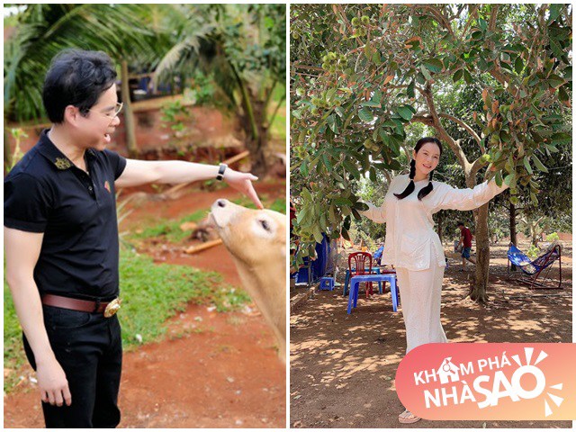 Sao Việt sở hữu những khu vườn tiền tỷ: Ngọc Sơn được tặng, Bằng Kiều có thú chơi đắt đỏ