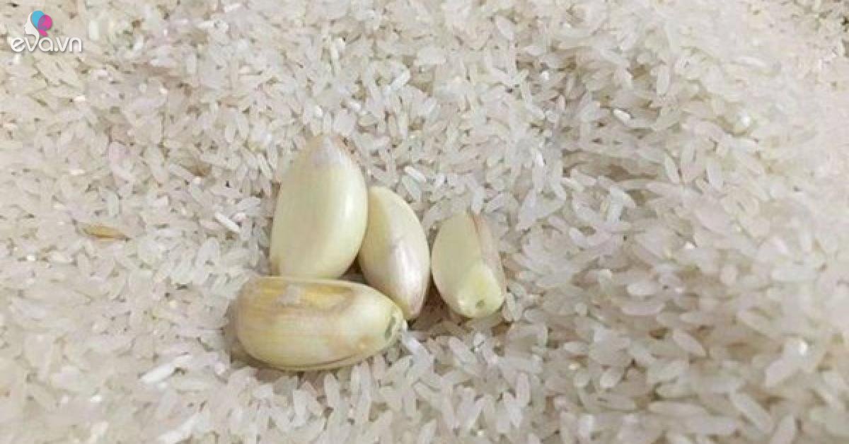 Cách bảo quản gạo nếp được lâu