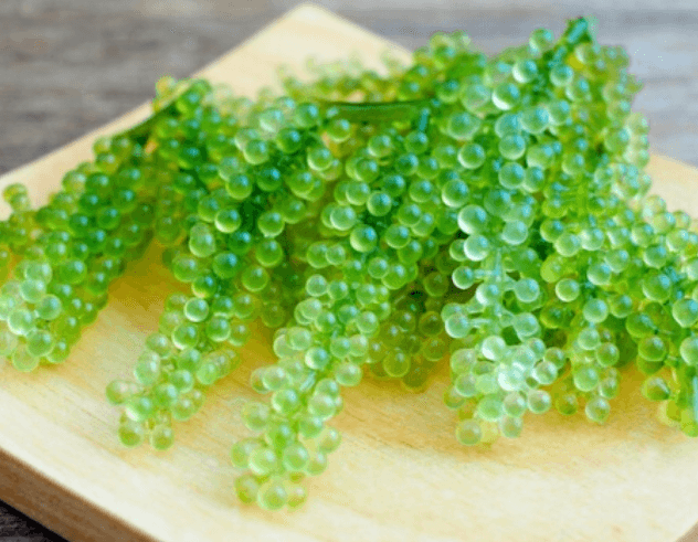 Bà bầu ăn rong nho được không và có lợi ích gì? - 1