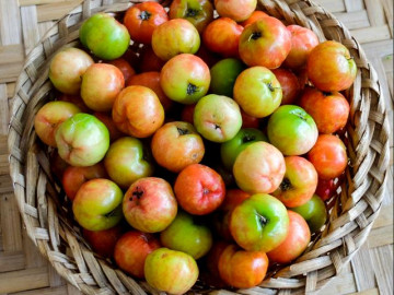 Đặc sản Tiền Giang có giá 70.000 đồng/kg, ai cũng thích mua về thưởng thức, kể cả người nước ngoài - Vimarsana News