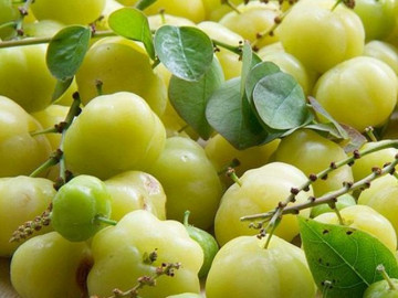 Loại quả dại chua loét mọc quanh bờ rào, nay thành đặc sản bán khắp nơi, nhìn chảy nước miếng - Vimarsana News