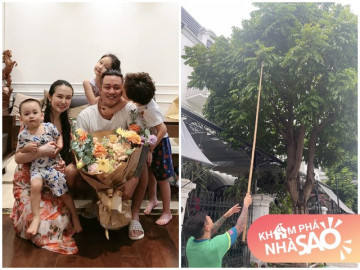 Vợ chồng Tuấn Hưng trở lại tuổi thơ, ra cổng nhà bẻ loại quả quen thuộc mọc ven đường - Vimarsana News
