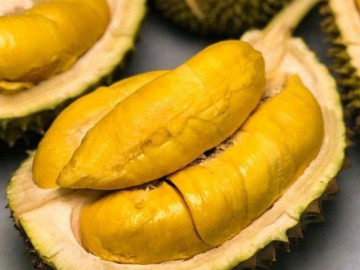 Mua sầu riêng, chọn quả gai dài hay ngắn thì ngon, người bán mách chiêu hay ít người biết - Vimarsana News