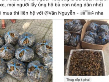 Không dám đến siêu thị, bà nội trợ vẫn đủ món ngon, bổ, rẻ nhờ những nguồn hàng này - Vimarsana News