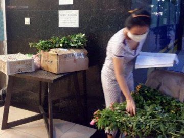 Dịch phức tạp, mẹ bỉm sữa vẫn có thu nhập nhờ chiêu kinh doanh không độc tại nhà - Vimarsana News