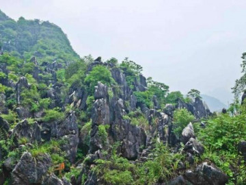 Cảnh quan thiên nhiên siêu lạ đến khó tin, được hình thành cách đây 100 triệu năm - Vimarsana News