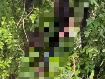 Người đàn ông tử vong trong tư thế treo cổ, xét nghiệm dương tính COVID-19 - Vimarsana News