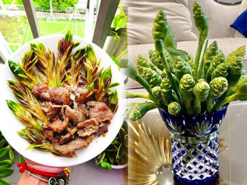 Hoa của loại củ quen thuộc tưởng vứt đi, đem xào vừa giòn vừa ngọt thành đặc sản Tây Bắc - Vimarsana News