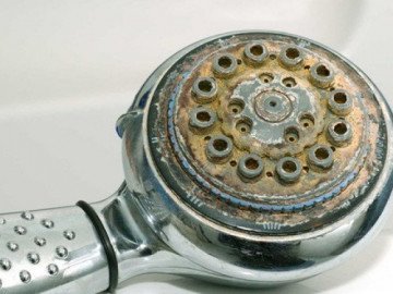 Vòi hoa sen đầy cặn bẩn kinh người mà không biết, dùng ngay lọ nước này để đánh bong hết - Vimarsana News