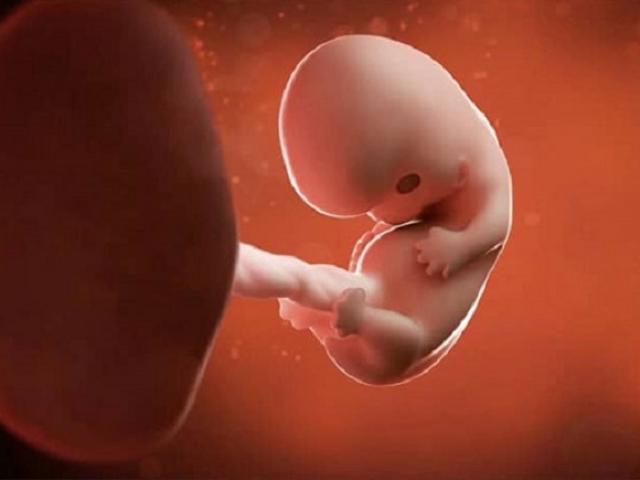 Thai 8 tuần là giai đoạn rất quan trọng trong quá trình mang thai của mẹ bầu. Hãy cùng xem hình ảnh của thai 8 tuần để được khám phá những đặc điểm đáng yêu và đầy mê hoặc của em bé trong bụng mẹ.
