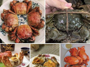 Tiểu thương tiết lộ gì về loại cua lông Thượng Hải giá siêu rẻ bán đầy chợ mạng? - Vimarsana News