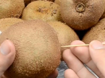 Dùng tăm chọc vào quả kiwi tưởng đùa, nào ngờ là mẹo hay ai cũng muốn dùng ngay - Vimarsana News