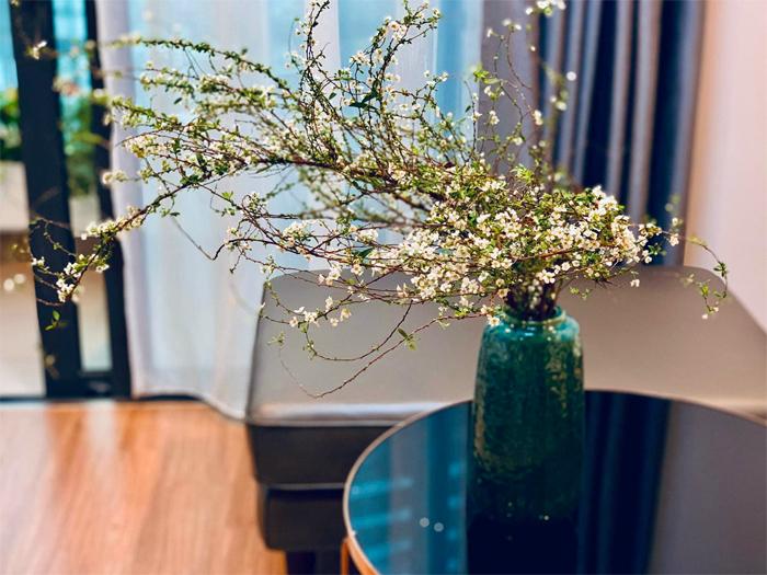 Hoa Tuyết Mai - Ý nghĩa và cơ hội cắm hoa tô điểm ngày Tết - 11