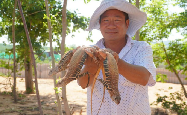 Chàng kỹ sư công nghệ thông tin nuôi dê