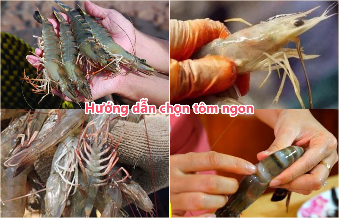 Cách làm tôm nướng muối ớt bằng than hoa, chảo, lò nướng ngon xuất sắc - 3