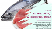 7 loại cá dễ chứa nhiều chất độc và hormone tăng trưởng, có loại nhiều người lại tưởng đại bổ