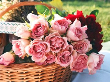 Tươi đẹp hàng ngày Hình ảnh bông hoa hồng đẹp nhất Giúp bạn tươi trẻ và tràn đầy sức sống