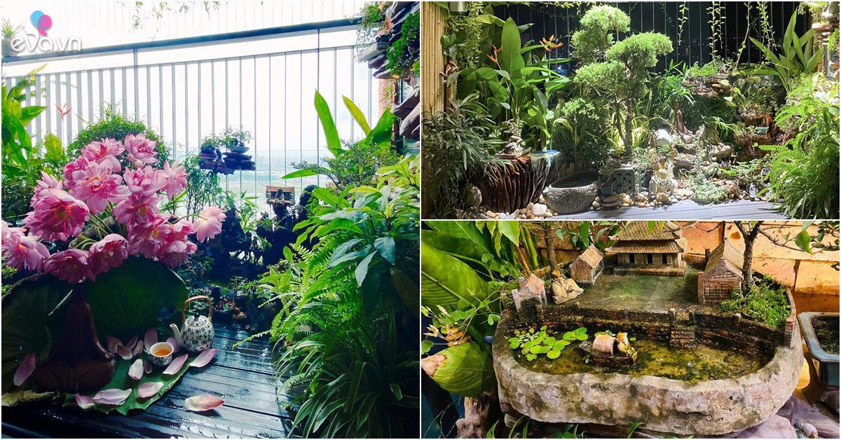 Read more about the article Mẹ đảm Hà Nội mang vườn cây thác nước lên ban công 3m2, biến căn hộ chung cư thành không gian siêu chill