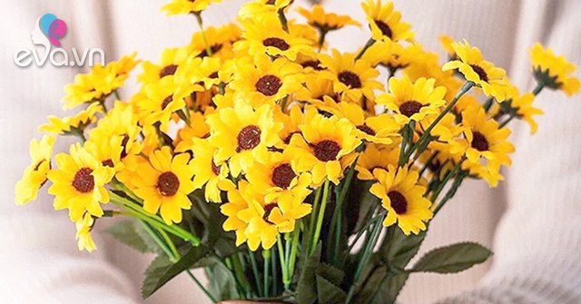 Read more about the article Ý nghĩa hoa cúc vàng và các loại phổ biến