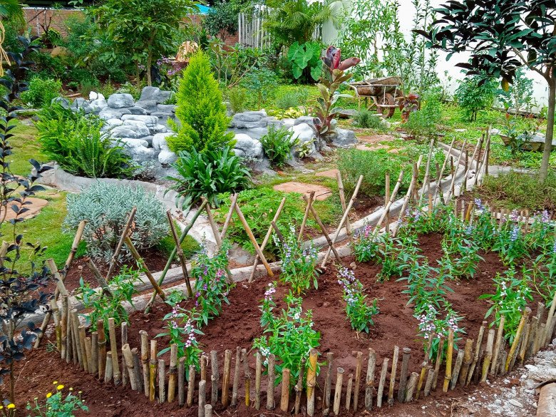 Nhổ tiêu trồng thảo mộc, 8X Pleiku được vườn đẹp như tranh, góc nào cũng thơm nức mũi - 3
