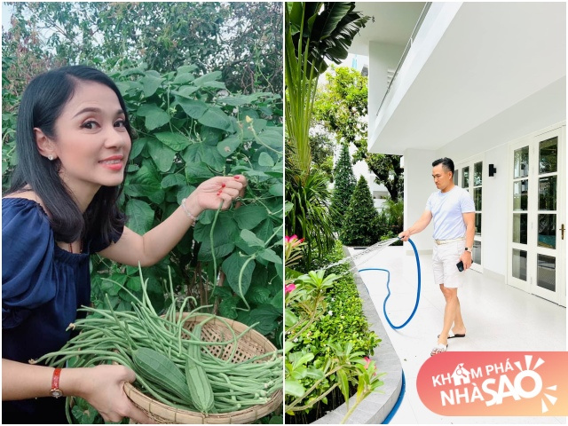 Giải nghệ sao Việt sống ở nơi sang: Việt Trinh có nhà vườn, Chi Bảo thêm cơ ngơi 1.600m2