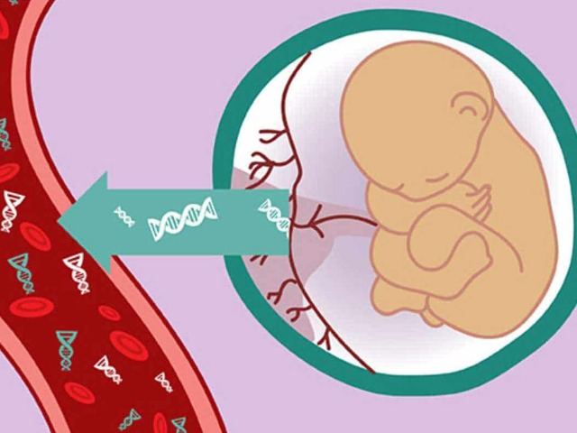 Mẹ bầu đi xét nghiệm ADN ra kết quả thai nhi trong bụng không phải con mình, chỉ là con chồng