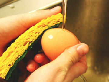 Cứ mua trứng về là cọ rửa thật sạch, chuyên gia lắc đầu nói sai lầm, bảo sao trứng nhanh hỏng, mất sạch chất dinh dưỡng