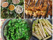6 đặc sản Đắk Lắk ngon nổi tiếng, có món xưa để "chống đói" nay ai cũng tìm ăn