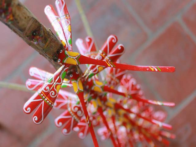 noi long dau dau cua nguoi chi gai sau canh chuon chuon tre xuat ngoai cua dua em tat nguyen - 2