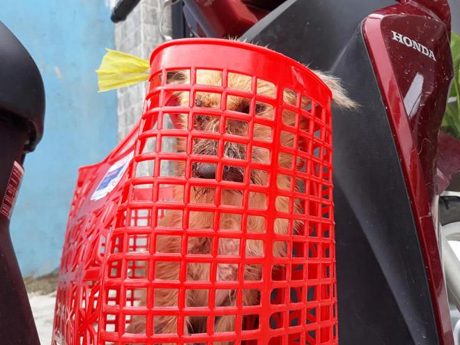 chu cho bi benh nang chon cai chet xa nha va hanh dong dang khen cua chang trai tot bung - 5